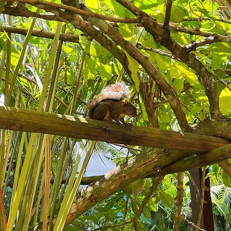 Pousada Jambrero Caraíva エクステリア 写真
