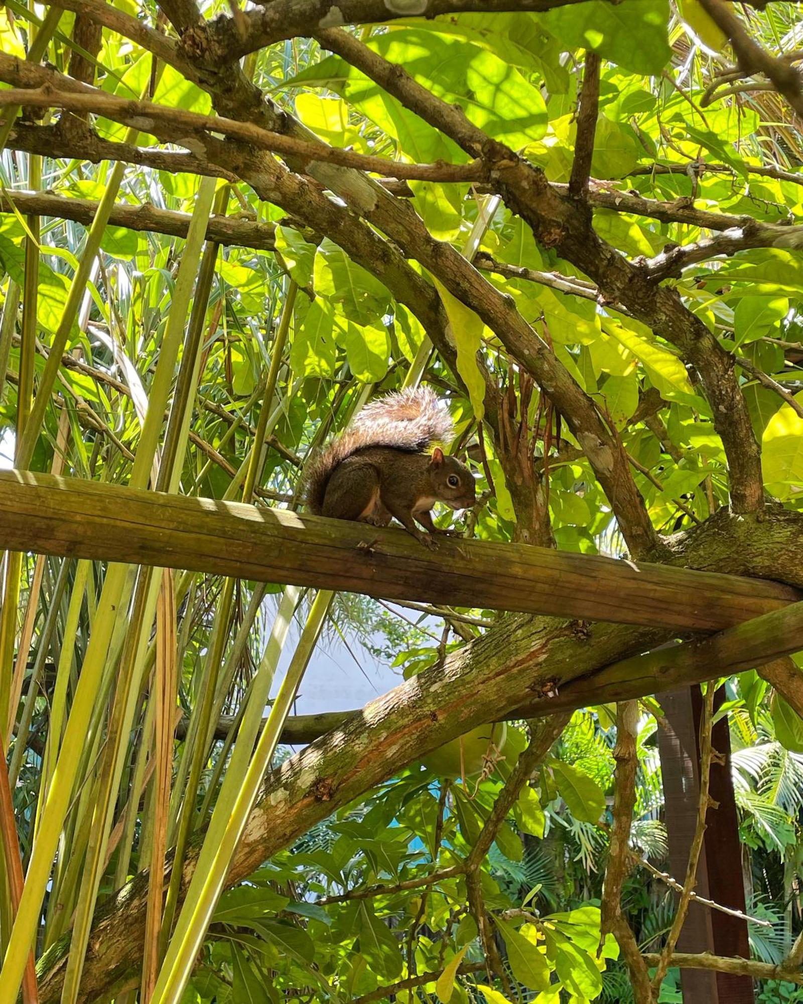 Pousada Jambrero Caraíva エクステリア 写真